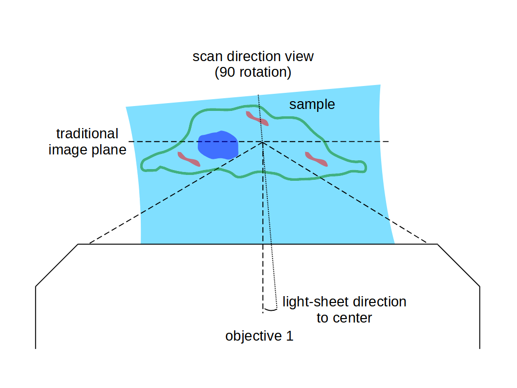 SOLS_excitation_angle_to_center.png