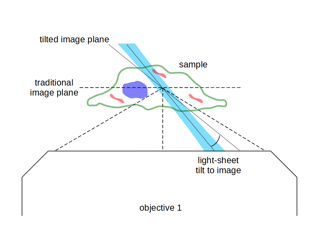 SOLS_excitation_angle_to_image.png