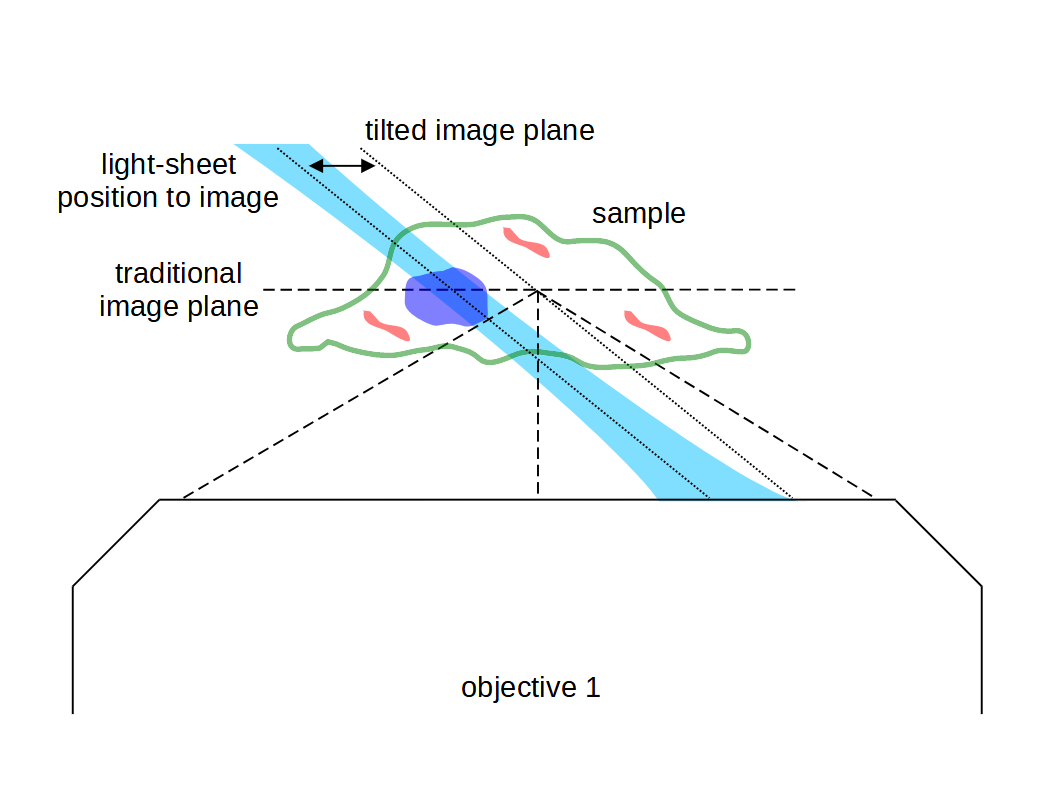 SOLS_excitation_position_to_image.png