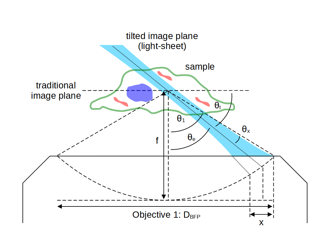 SOLS_excitation_thickness.png