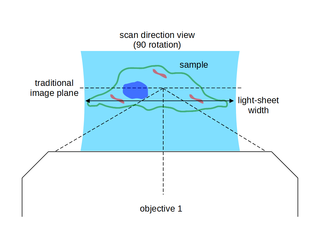 SOLS_excitation_width.png