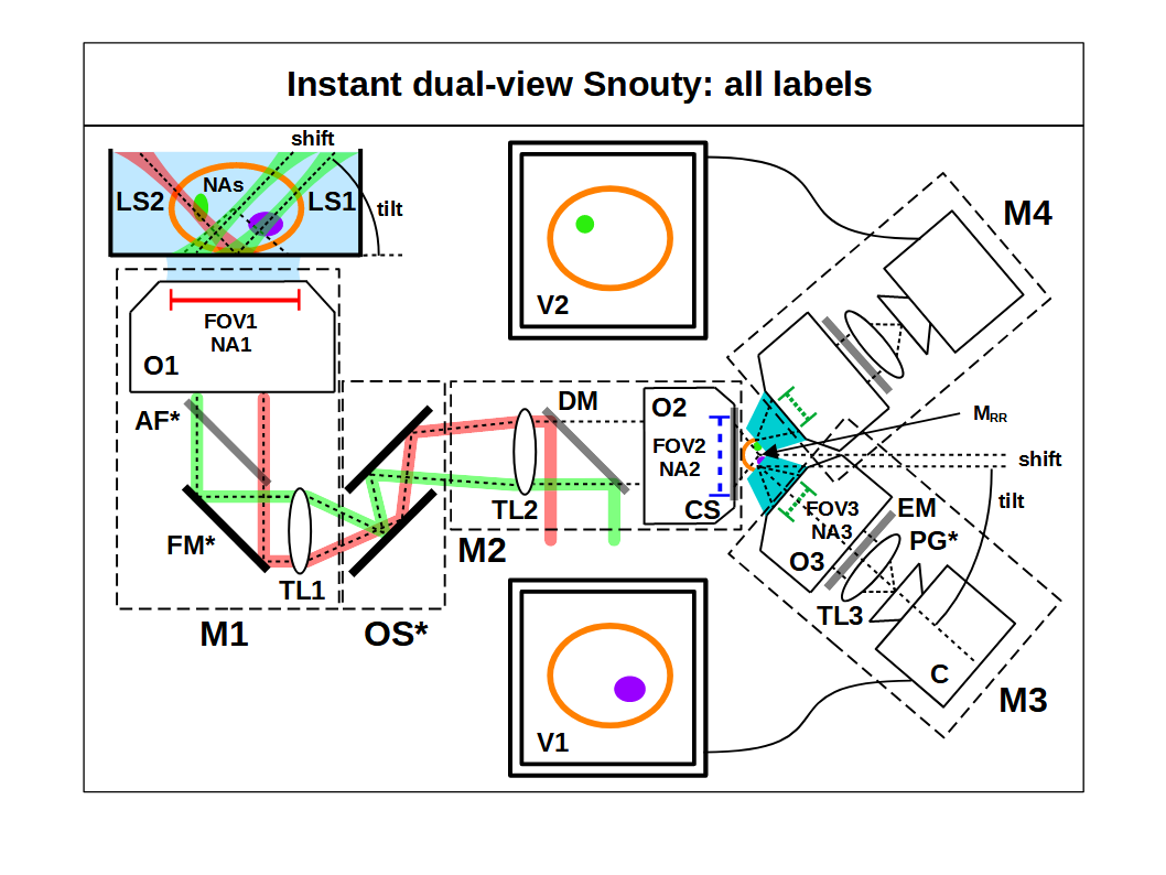 idv snouty all labels