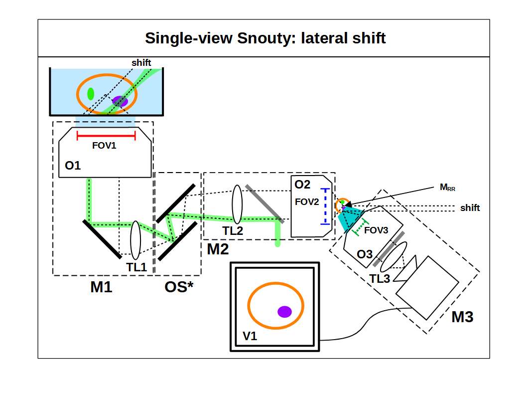 single view snouty lateral shift