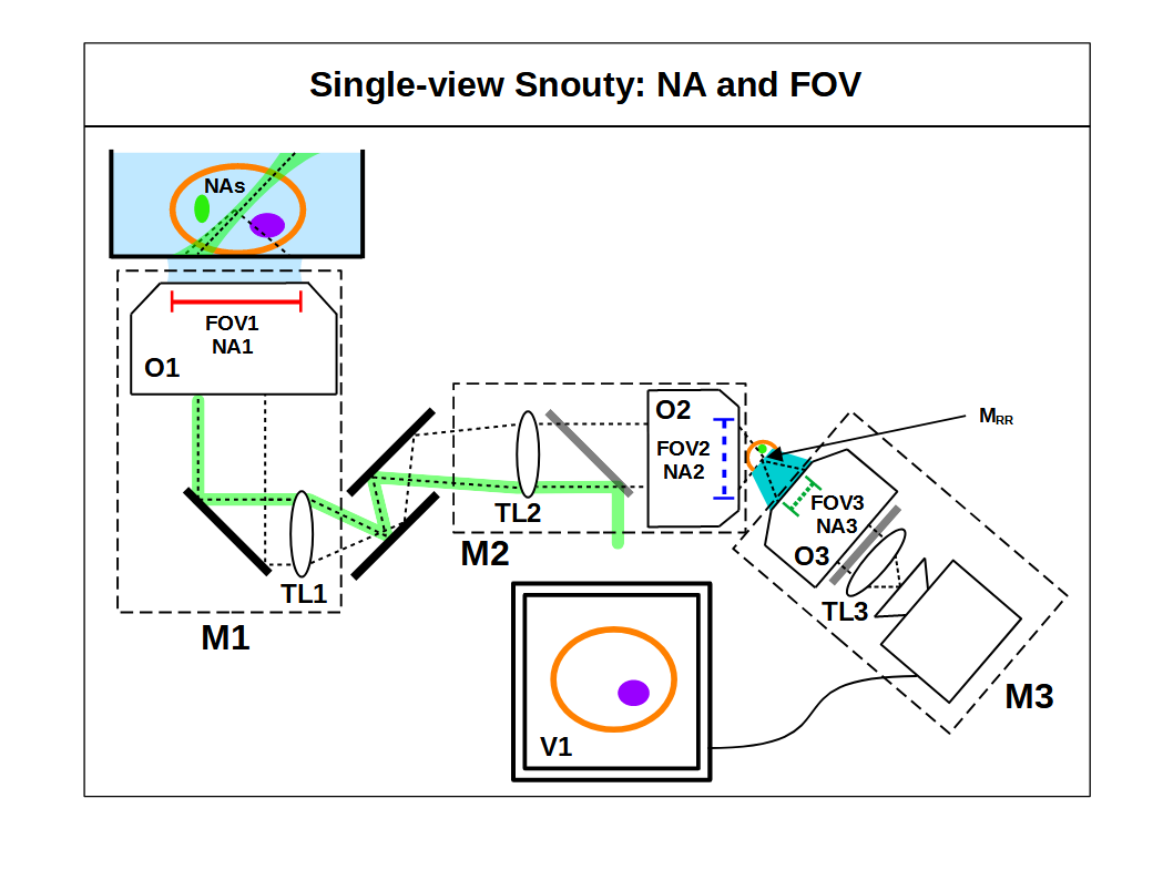 single view snouty na and fov